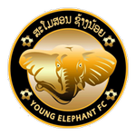 Young Elephant Logo