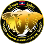 Young Elephant W Logo