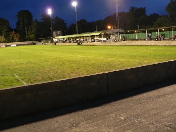 Fetcham Grove Estadio