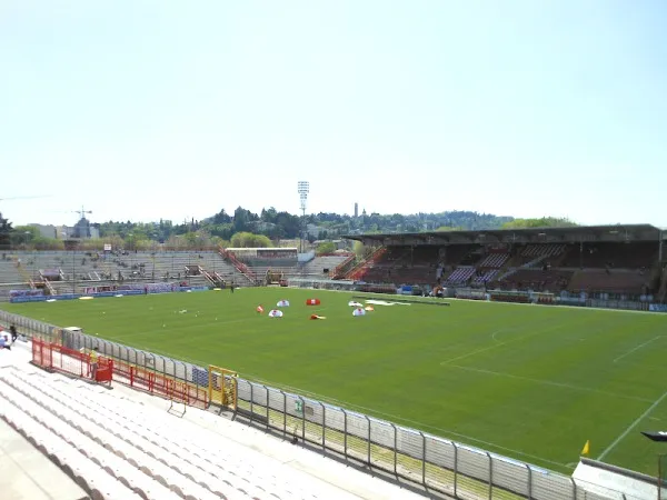 Stadio Romeo Menti Estadio