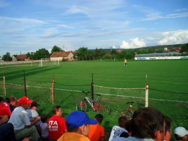 Stadionul Şoimii Estadio